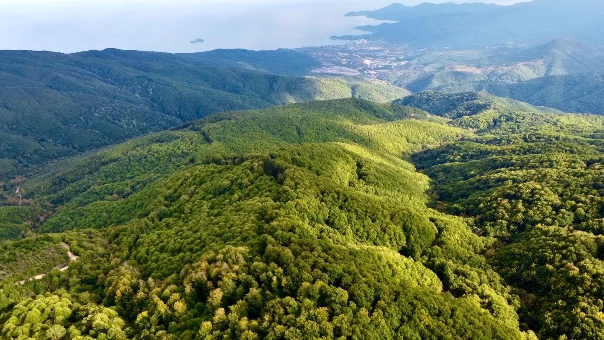 Case de vacanță Garden