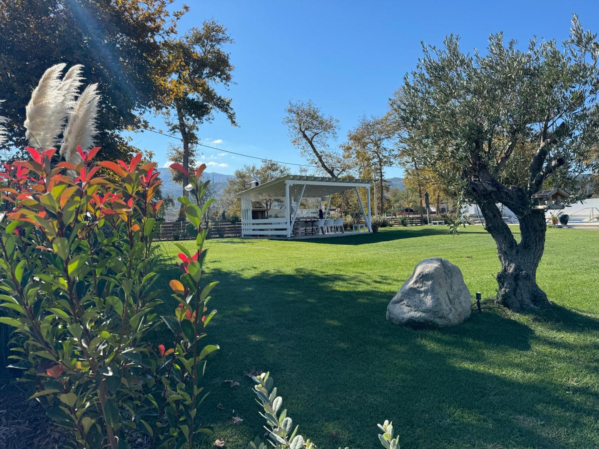 Garden *